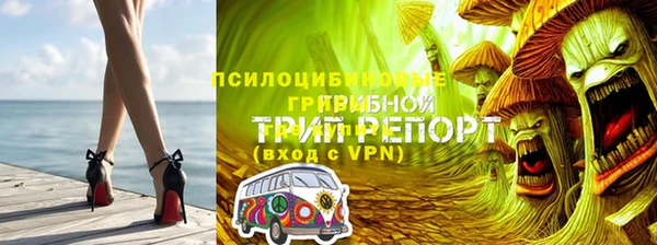 ALPHA PVP Алексеевка