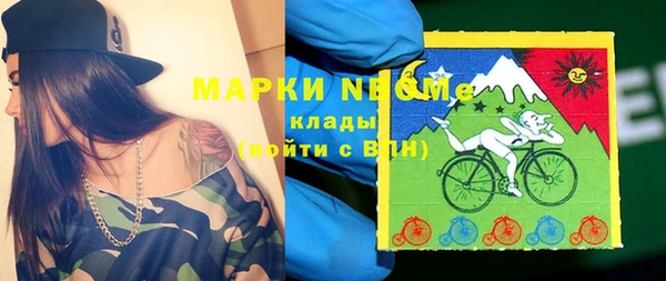 apvp Алзамай