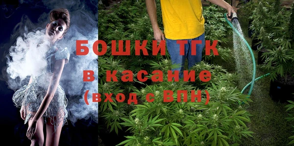 тгк Сатка