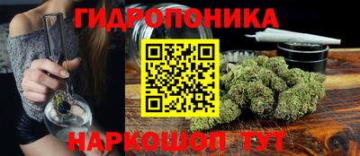 крисы Ярославль