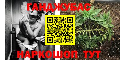 крисы Ярославль