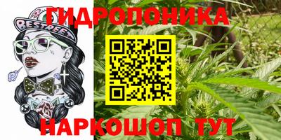 крисы Ярославль