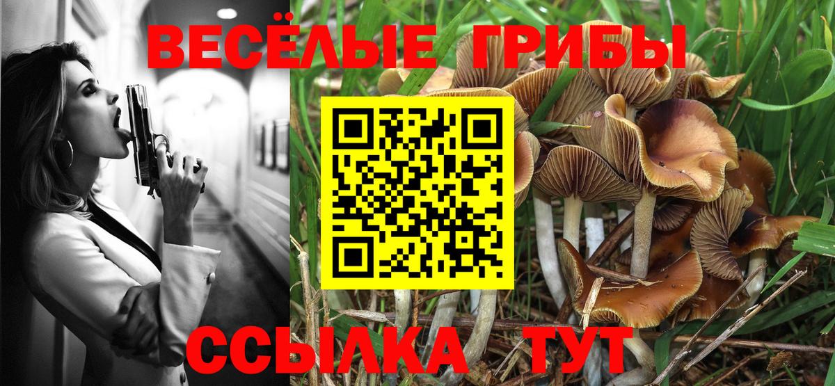 Галлюциногенные грибы MAGIC MUSHROOMS Осинники