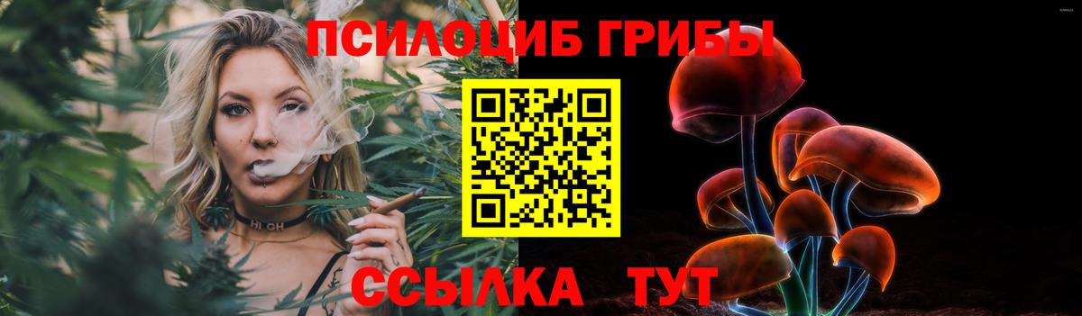 Псилоцибиновые грибы Psilocybe  Вход с VPN  цены   Осинники 