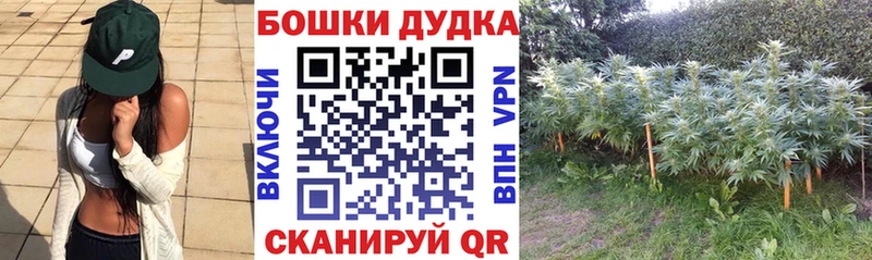 MEGA зеркало  Осинники  Бошки Шишки планчик 